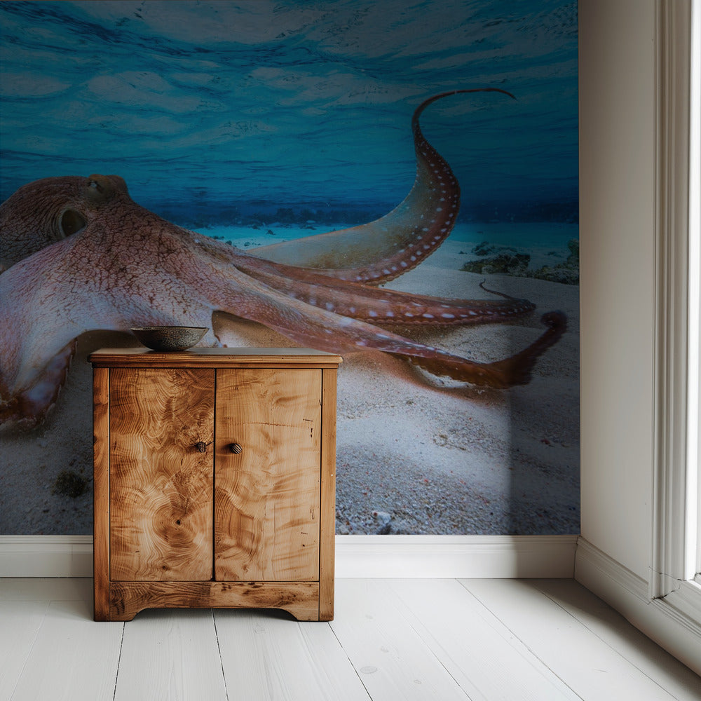 Oktopus | Tapete