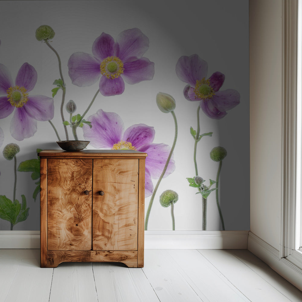 Anemone Japonica | Tapete