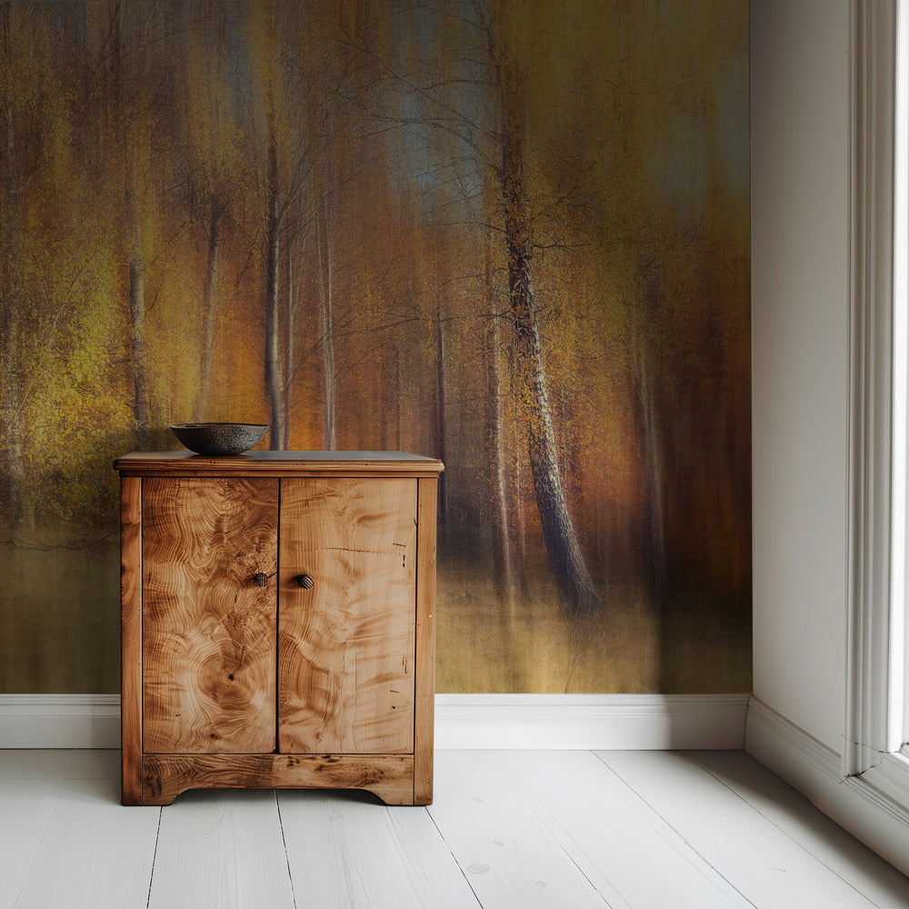 Herbstbirken | Tapete
