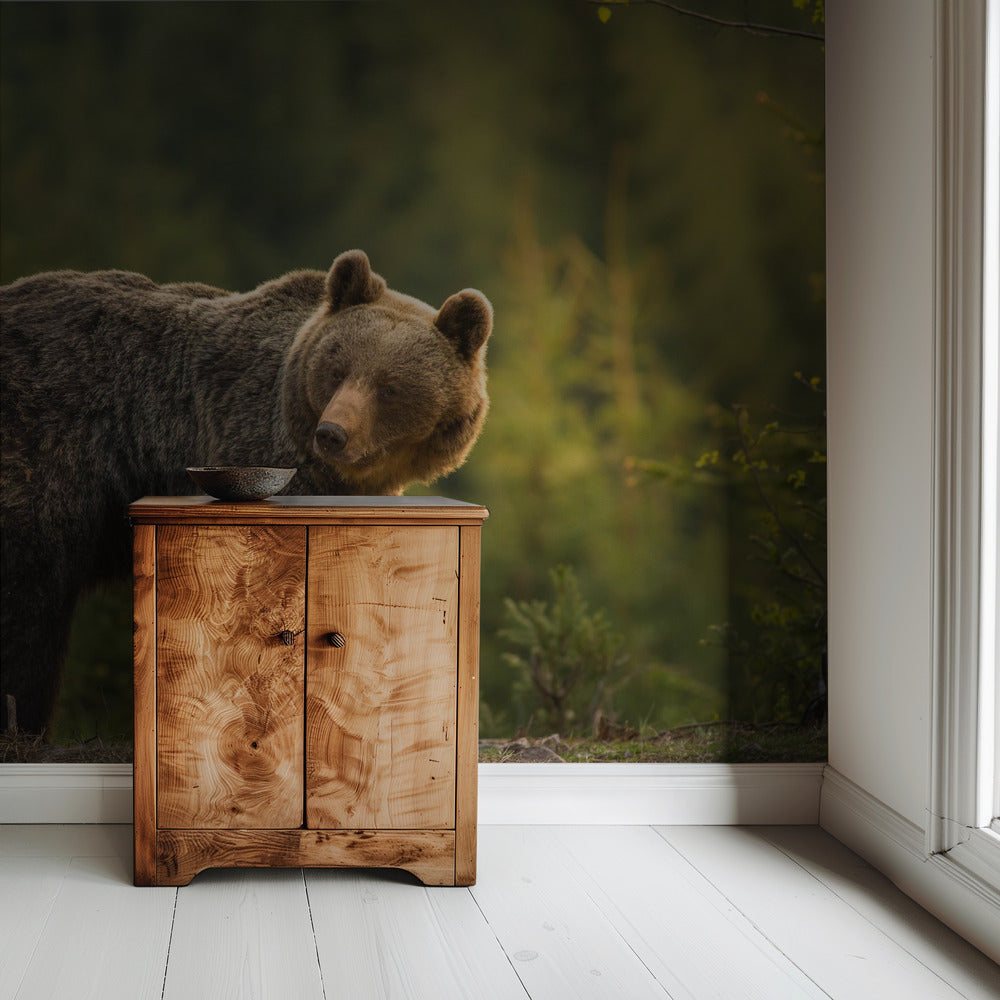 Von hinten beleuchteter Bär | Tapete
