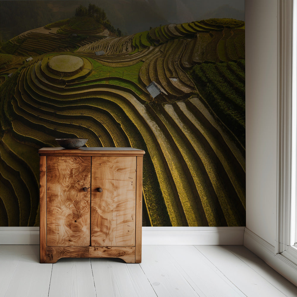 mu cang chai - vietnam | Tapete