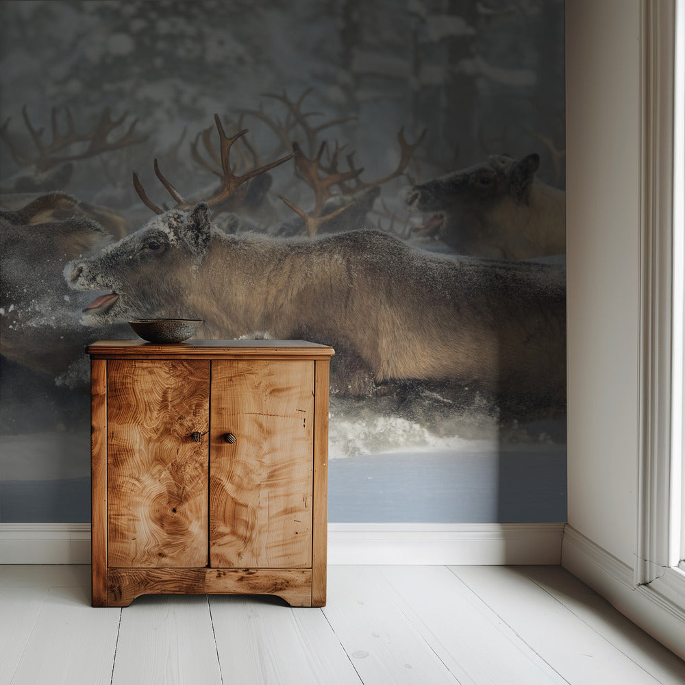 Rentiere III | Tapete