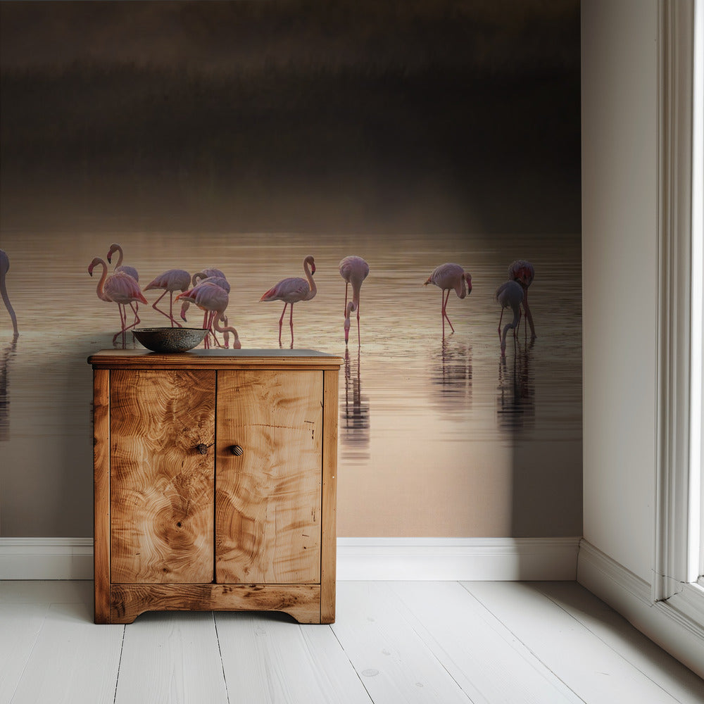 Fotografische Ode an Monet | Hintergrundbild