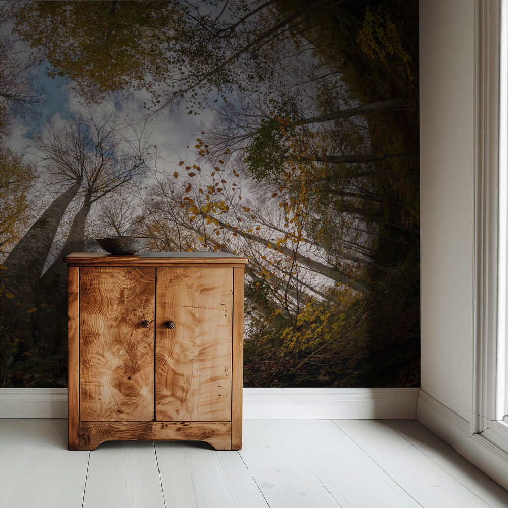 Wald | Tapete