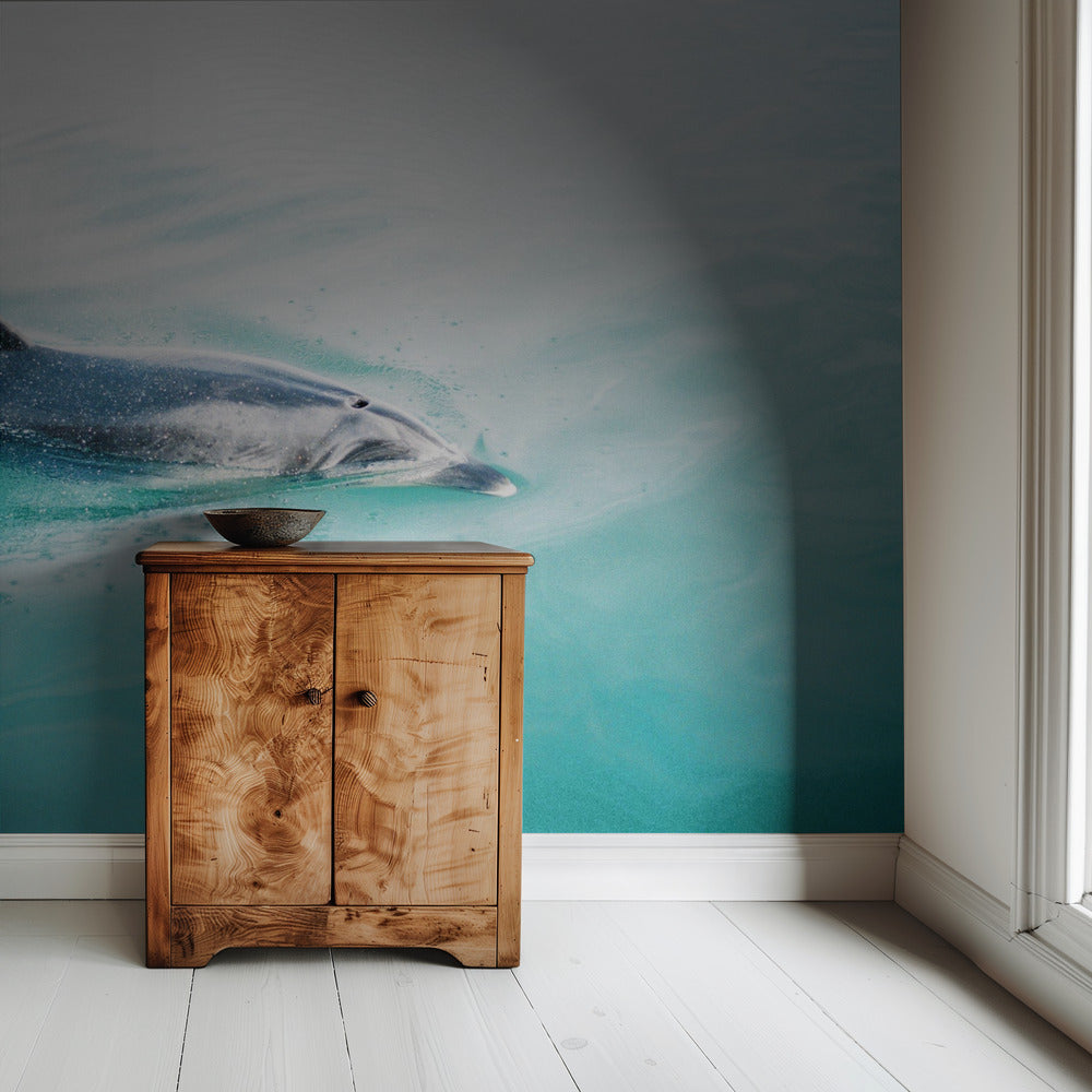 Delfin NZ Northern | Tapete