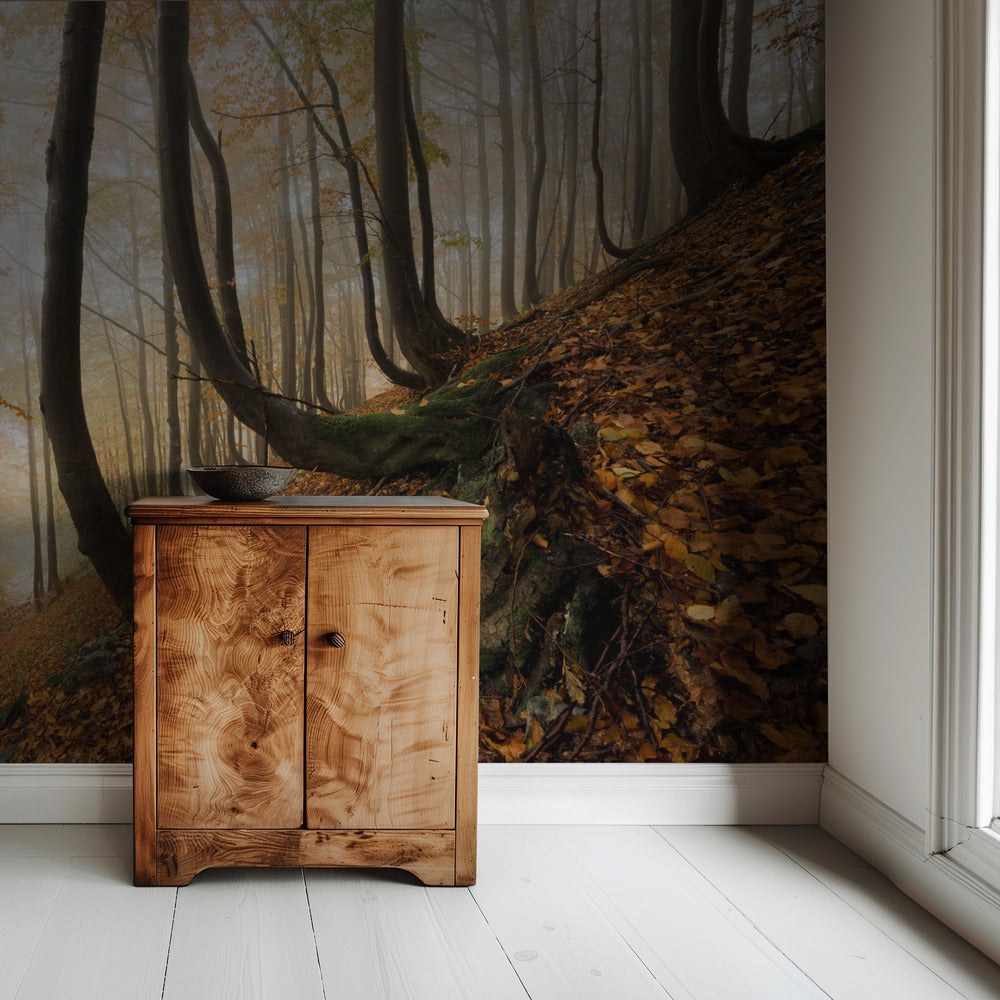 Mystischer Herbstwald | Tapete