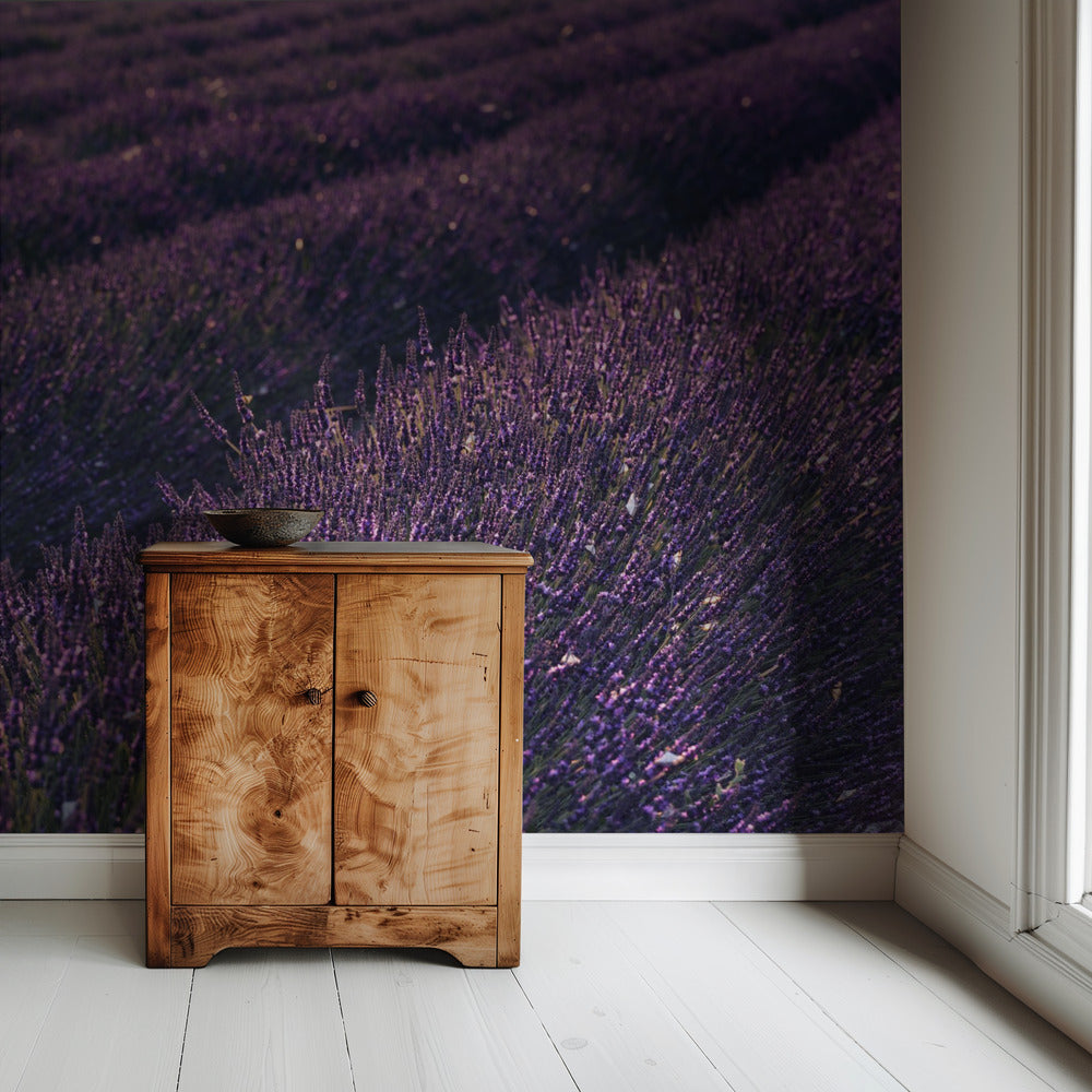 Provence Lavendel | Tapete