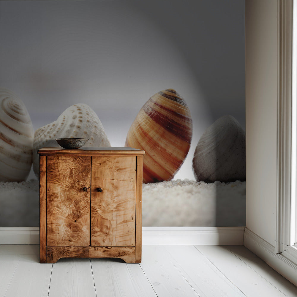 Muschelsymphonie | Tapete