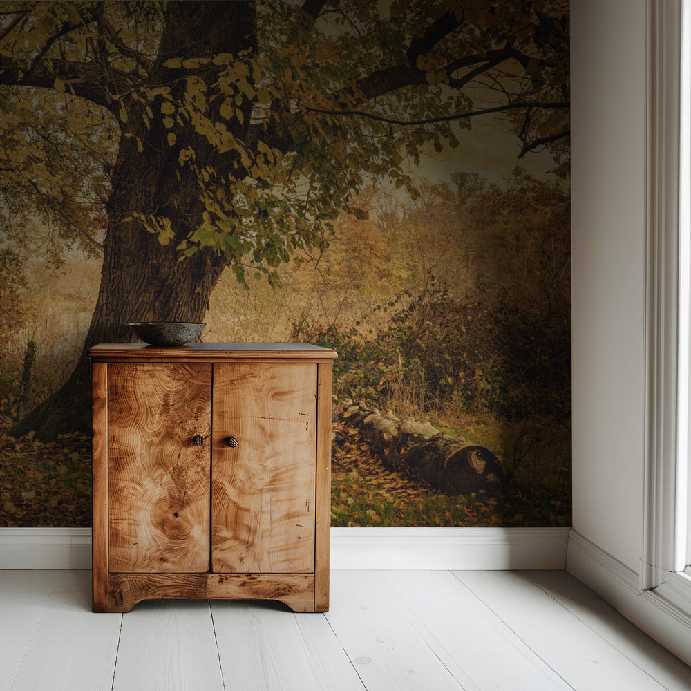 Alter Baum | Tapete