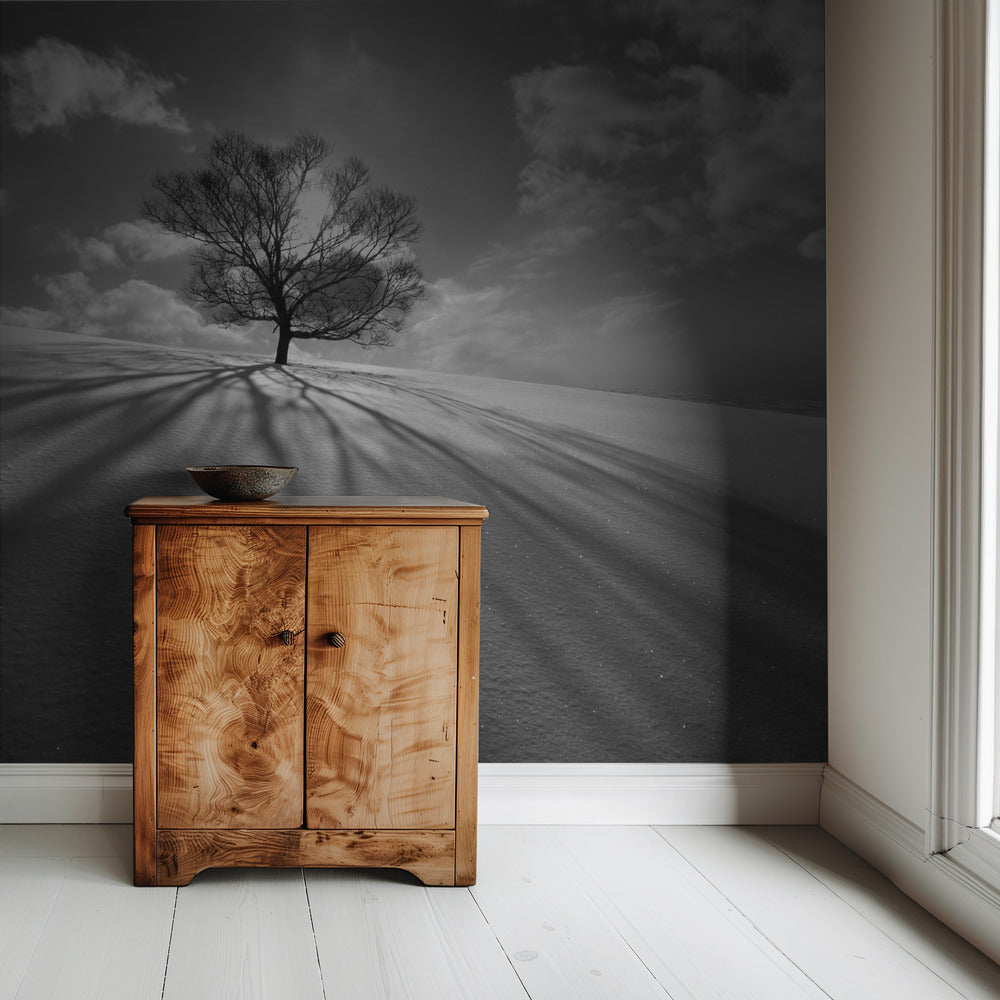 Baumschatten | Tapete