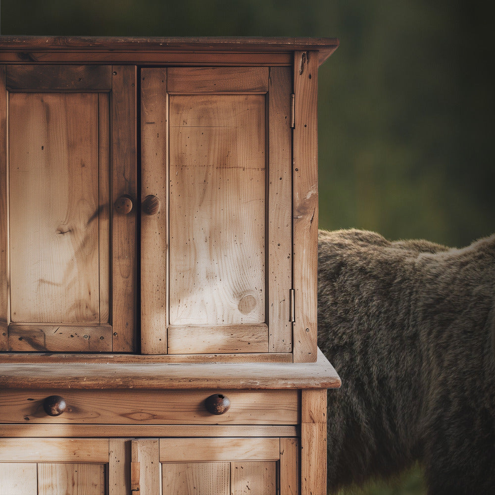 Von hinten beleuchteter Bär | Tapete