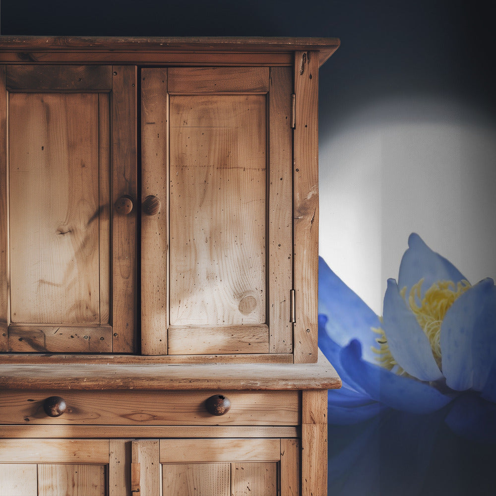 Flüchtiger Traum | Hintergrundbild