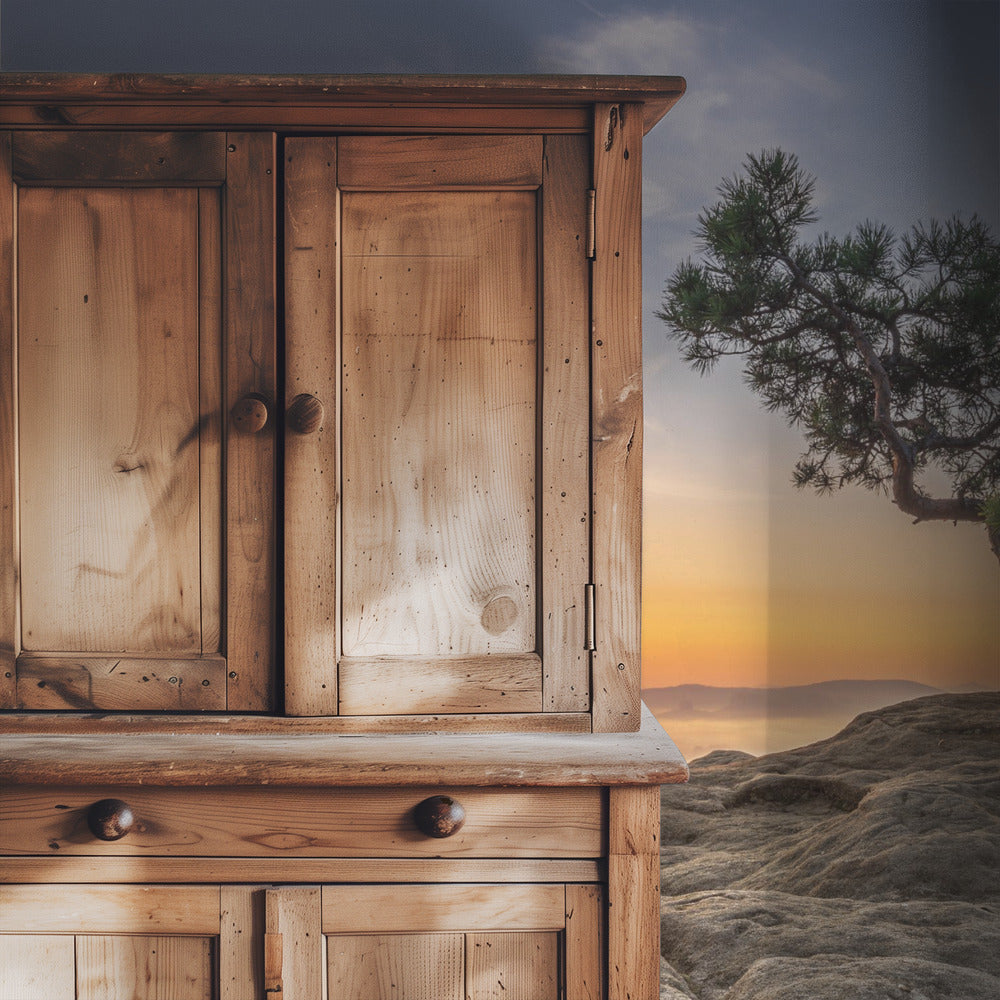 Alte Kiefer | Tapete