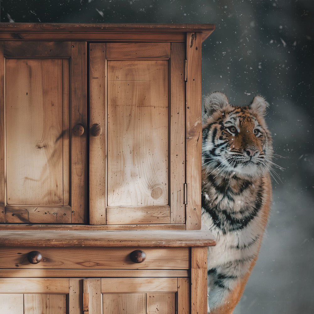 Der sibirische Tiger | Hintergrundbild