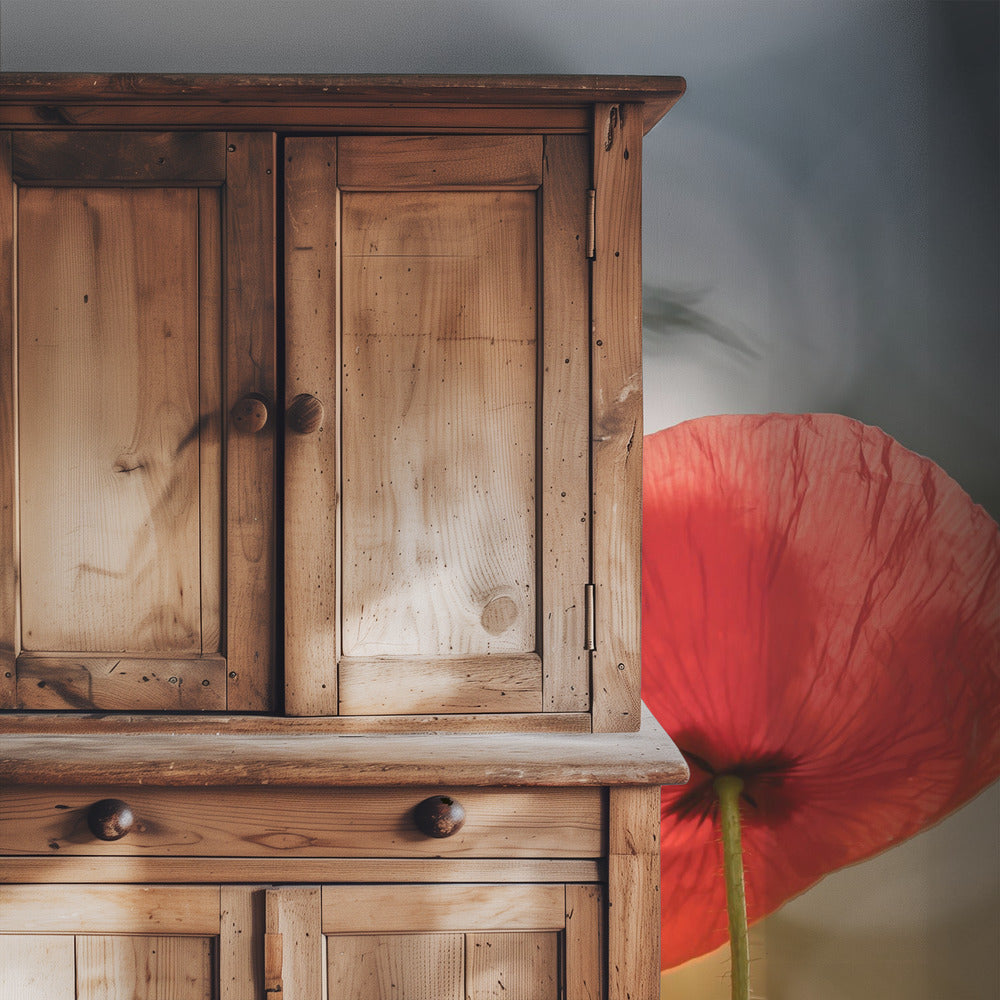 Morgenmohn | Tapete
