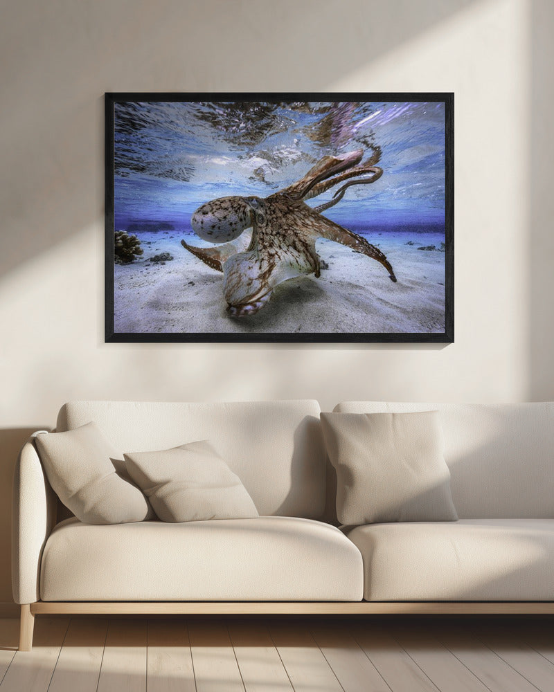 Tanzender Oktopus | Leinwand