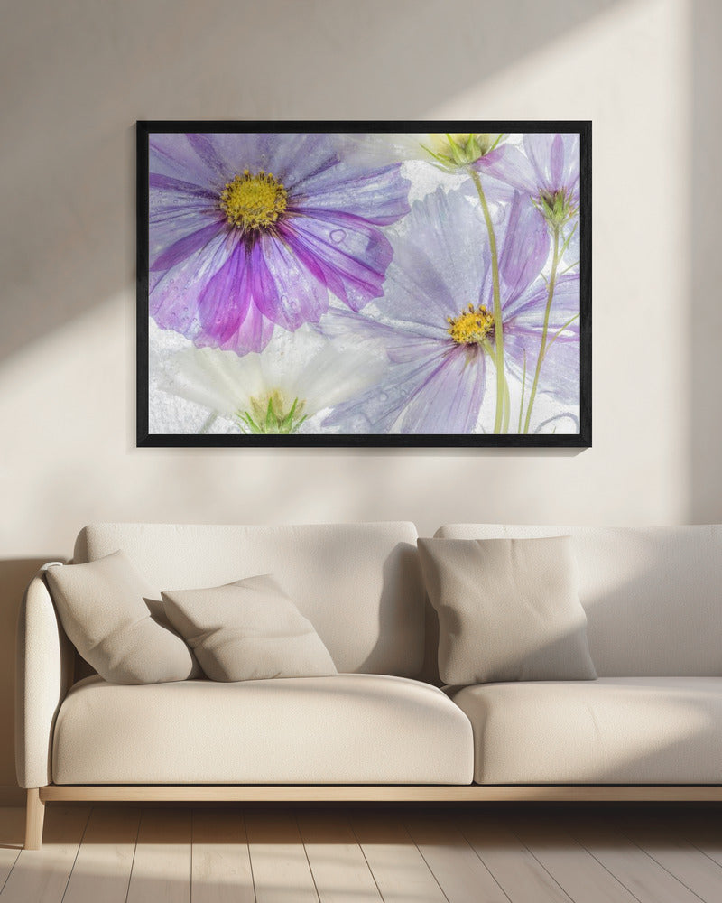 Cosmos cool | Leinwand