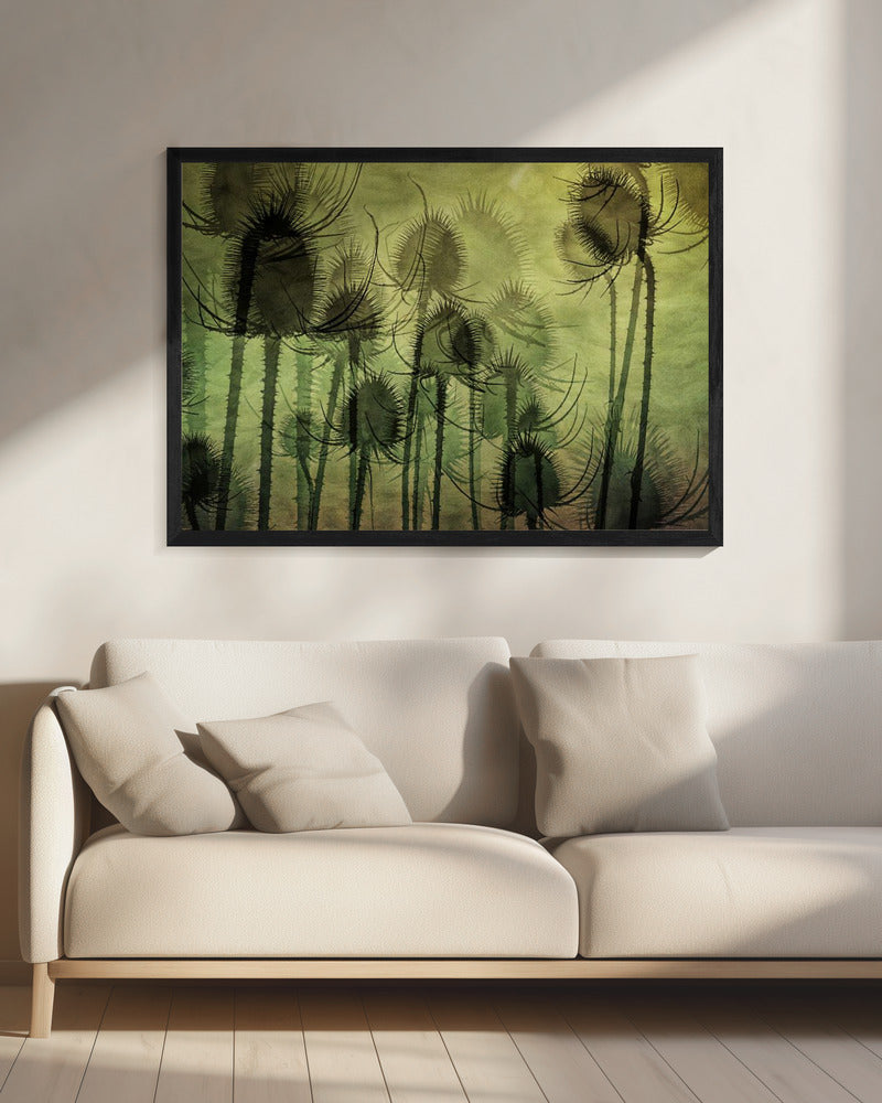 Wilde Karde | Leinwand