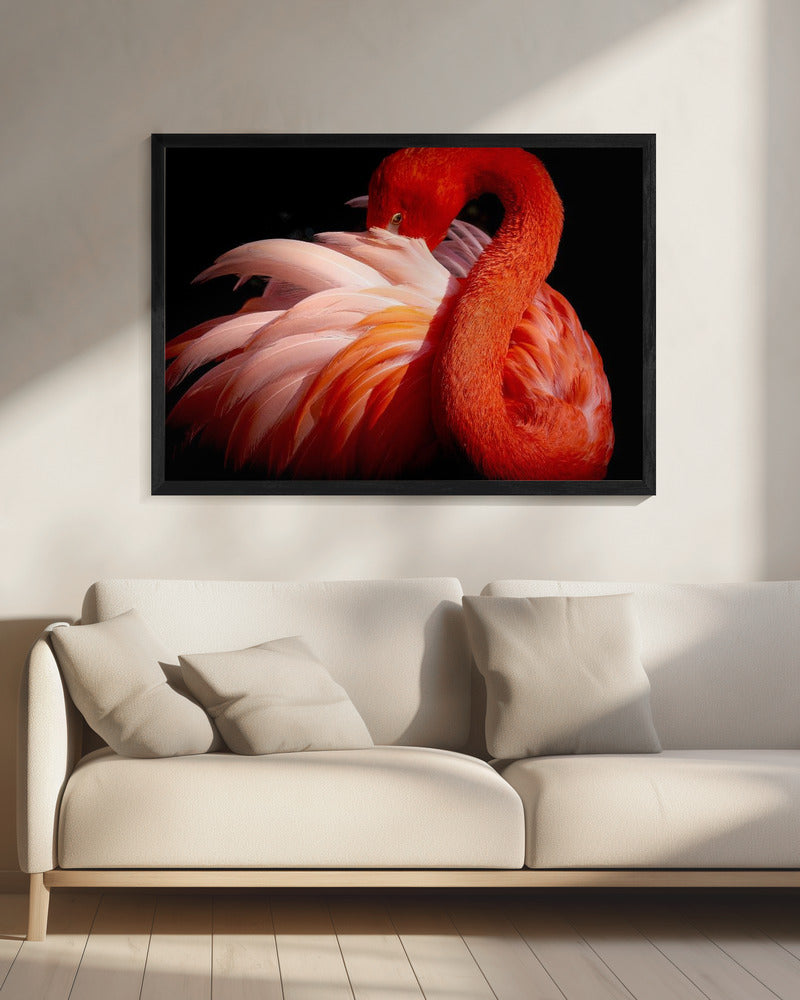 Flamingo | Leinwand
