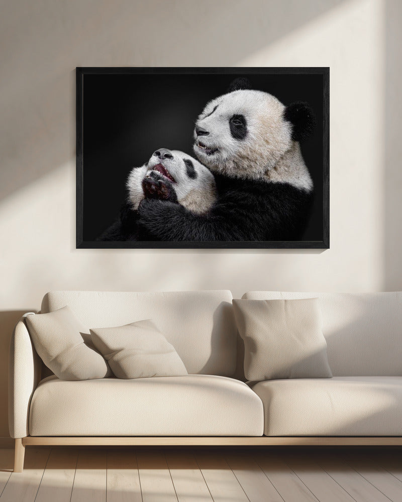 Pandas | Leinwand