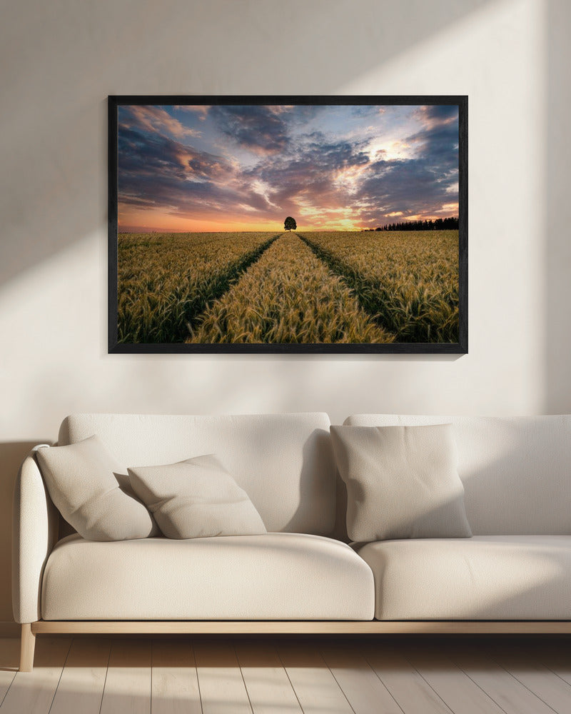 Feld der Träume | Leinwand