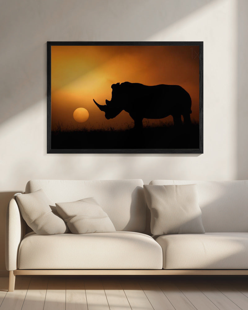 Nashorn Sonnenaufgang | Leinwand