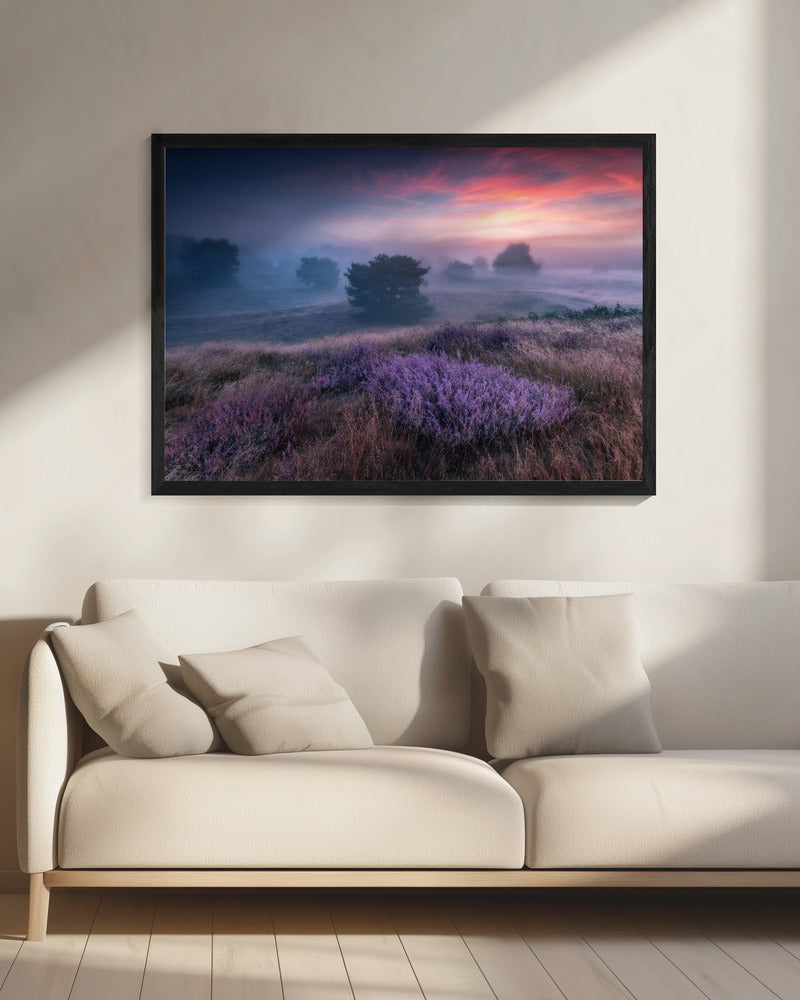 "Die Farben der Heide" | Leinwand