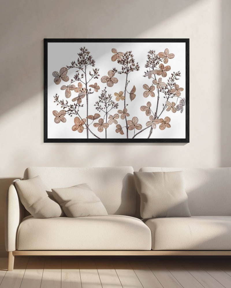 Rispenhortensie | Leinwand