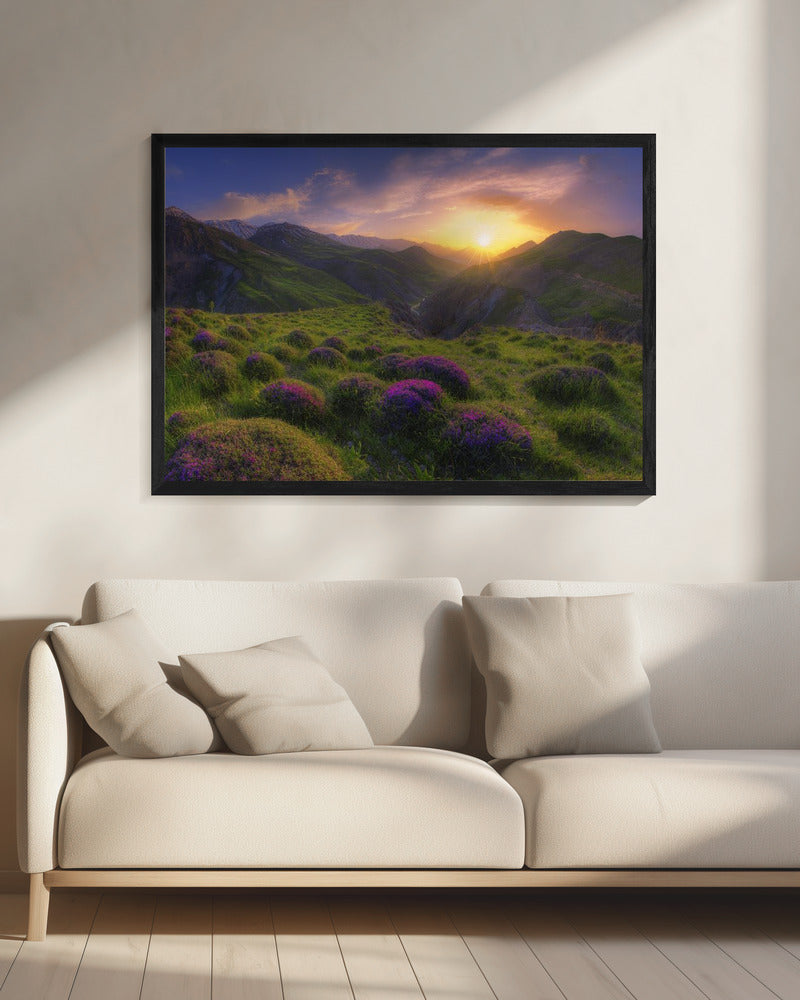 Frühling in Show | Leinwand