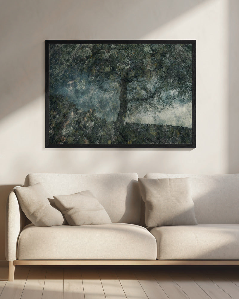 Felsen und ein Baum | Leinwand