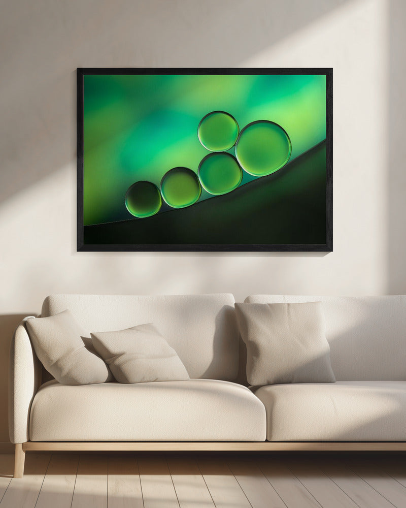 Black Spot | Canvas