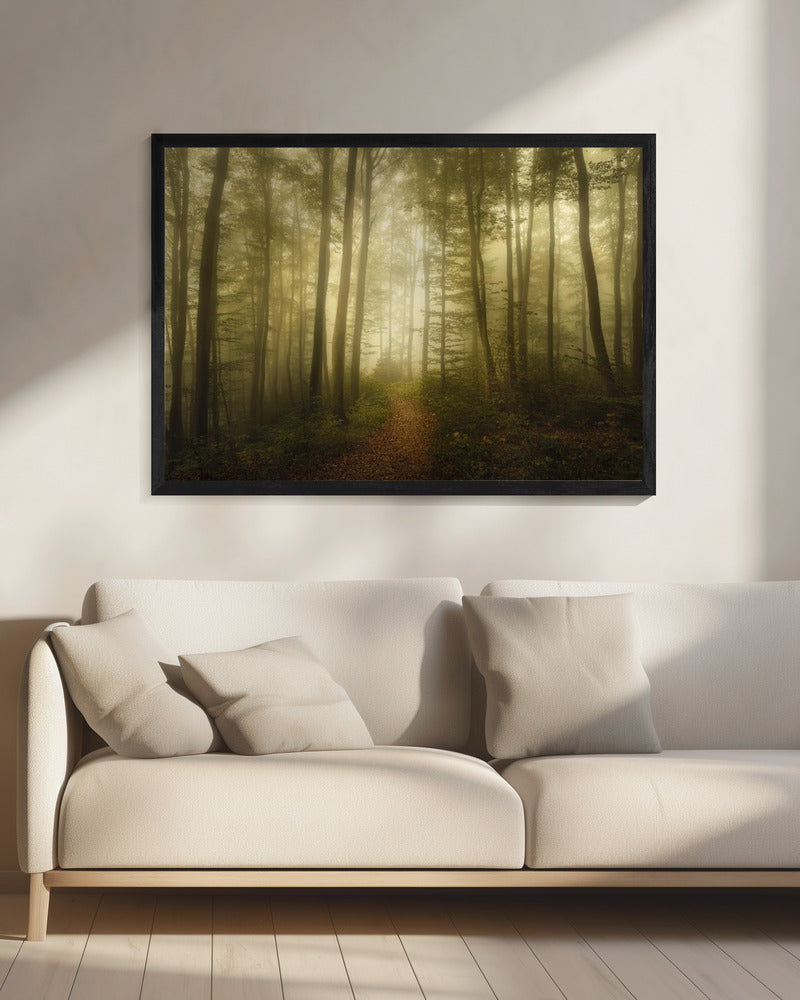 Charme des Vergänglichen | Leinwand