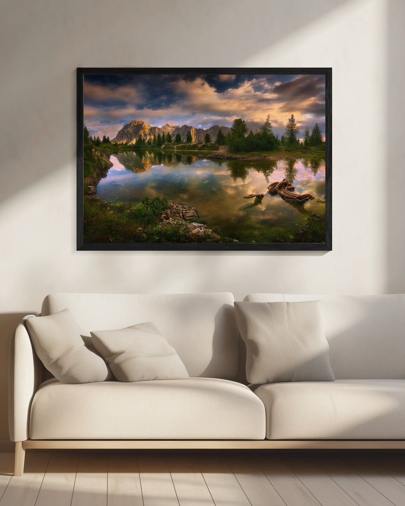 Limides... | Canvas