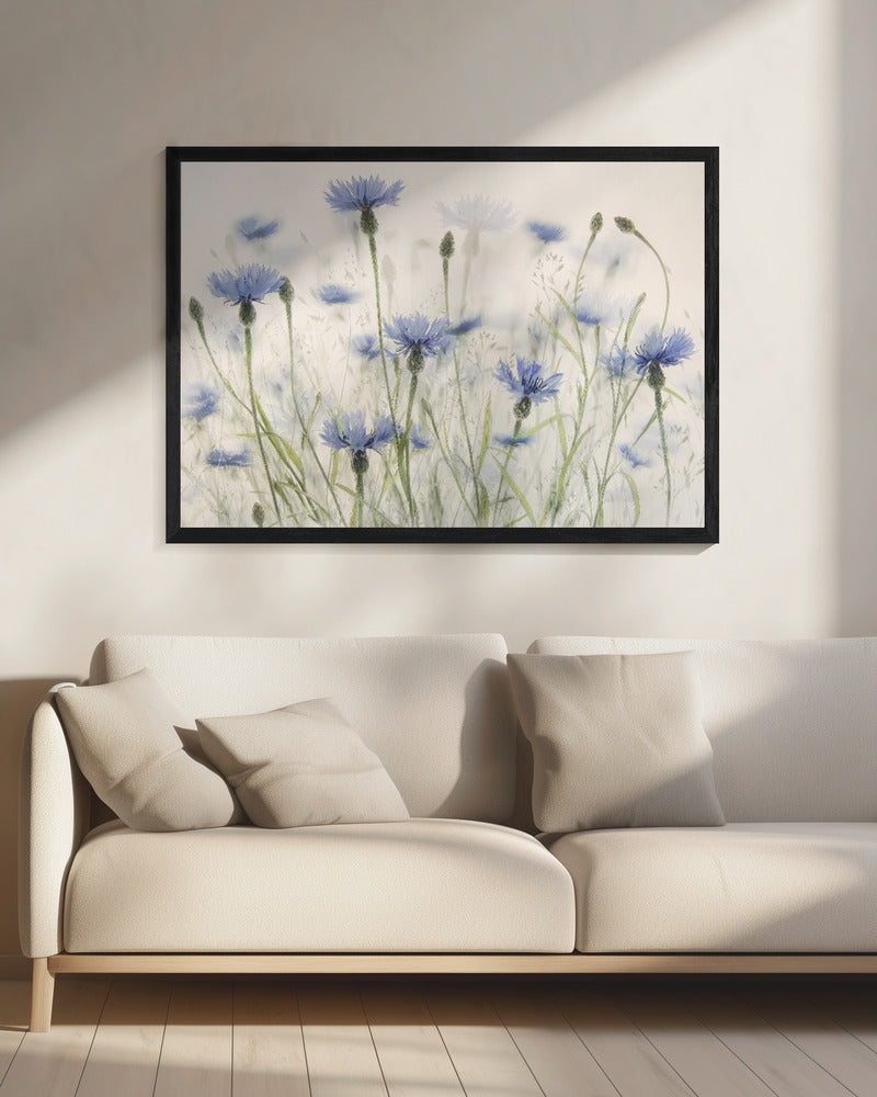 Kornblumen | Leinwand