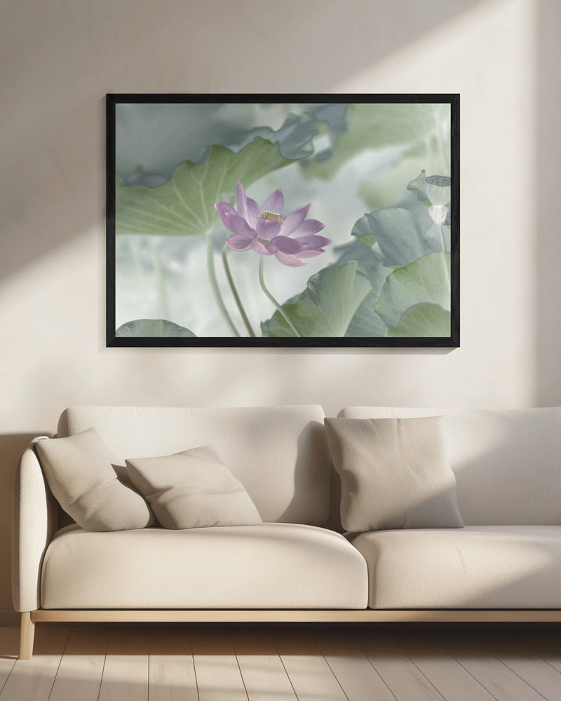 Lotus | Leinwand