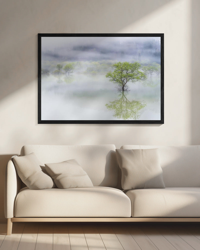 Verträumter Baum | Leinwand