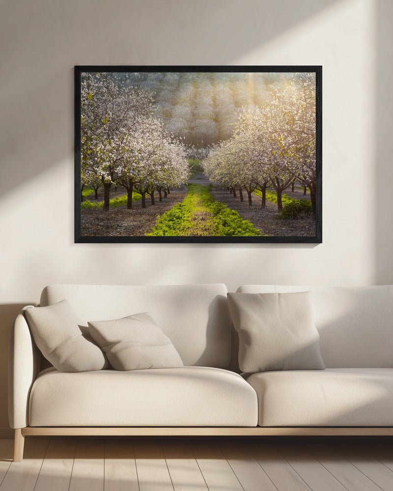 Goldene Mandeln | Leinwand