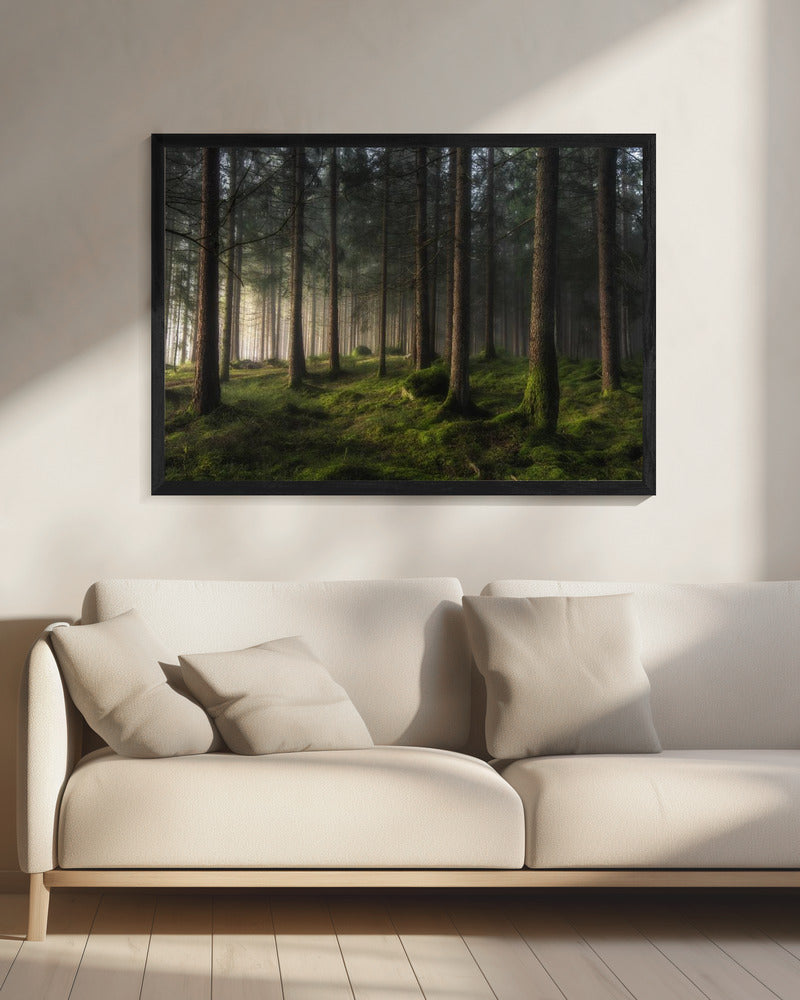Ein Gefühl von Frühling | Leinwand