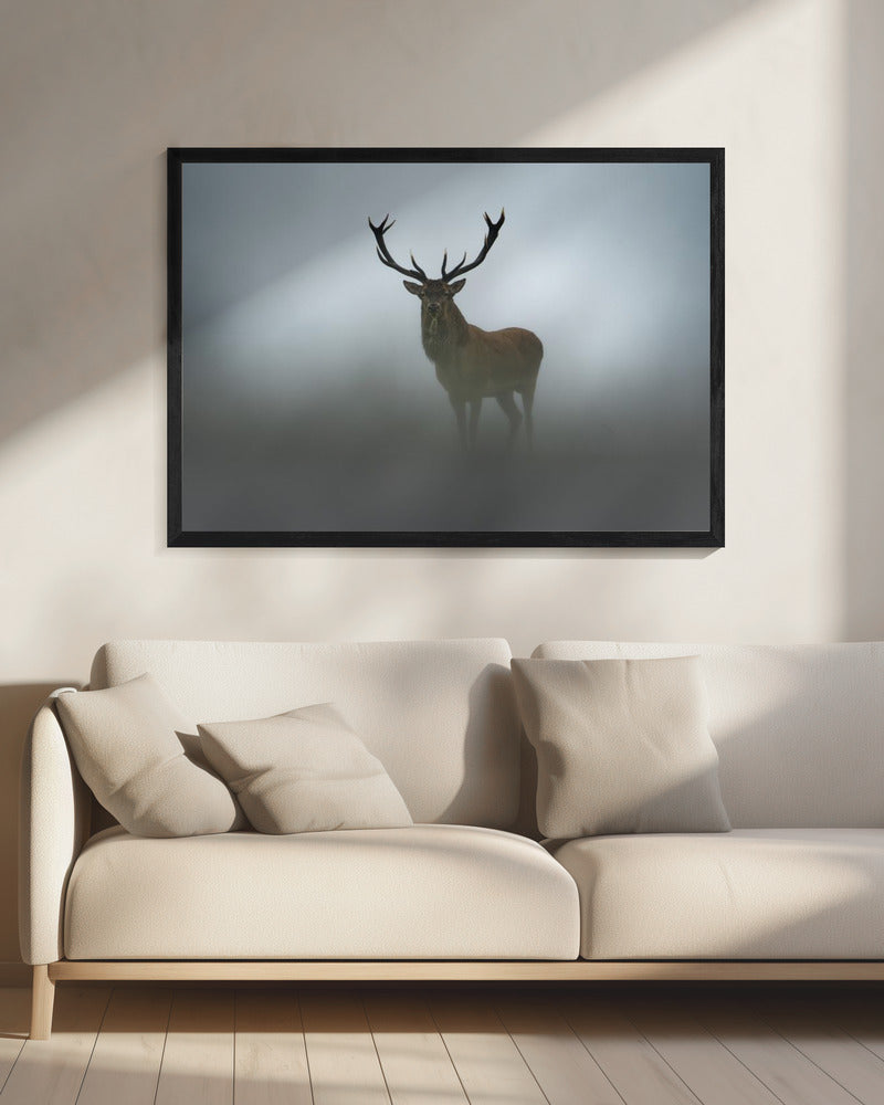 Vergänglichkeit | Leinwand