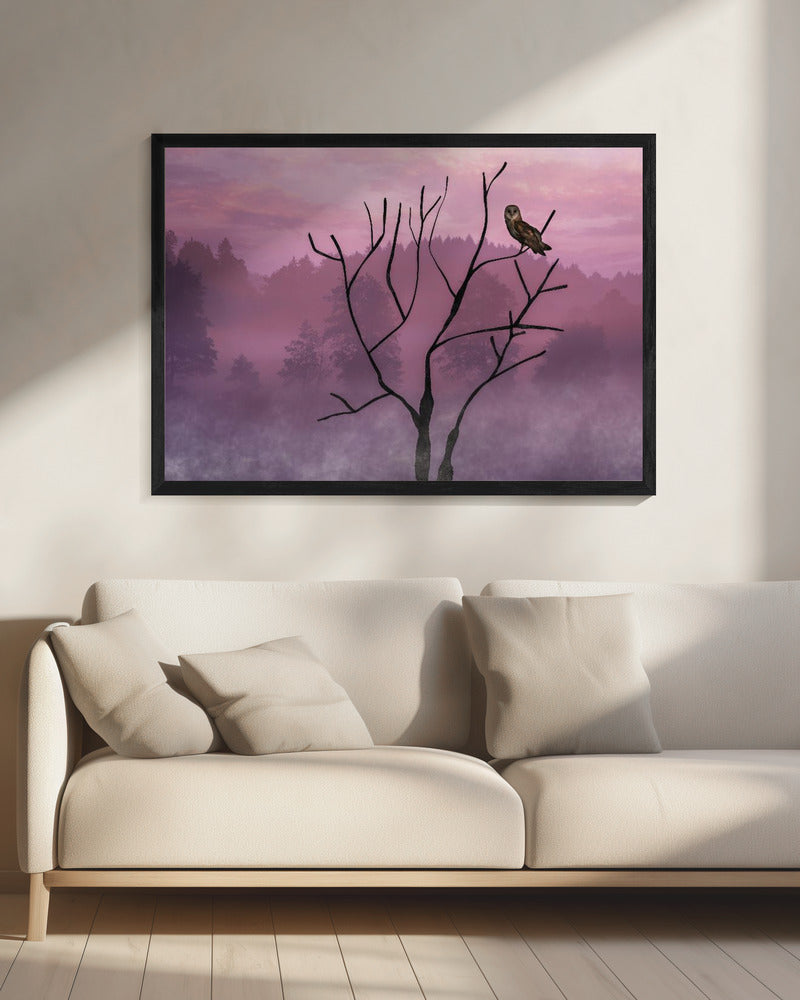 Rosa Himmel am Morgen | Leinwand