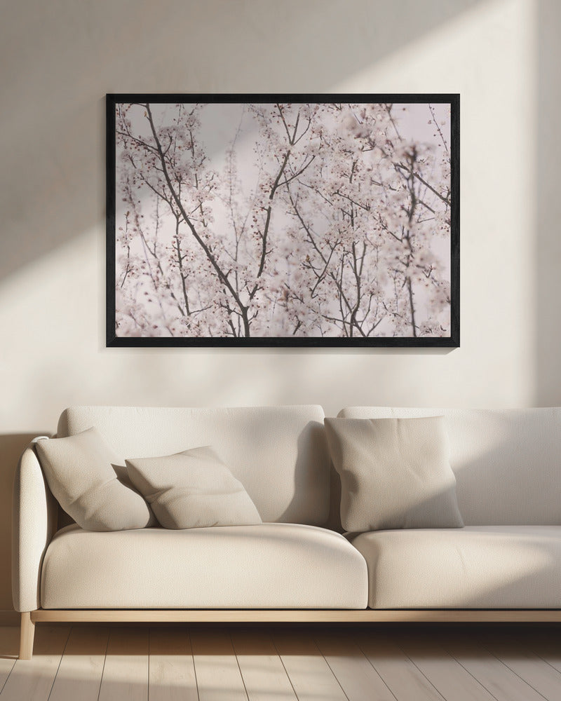 Frühlingsblüten | Leinwand