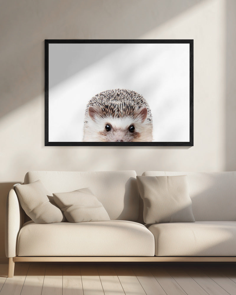 Guckender Igel | Leinwand