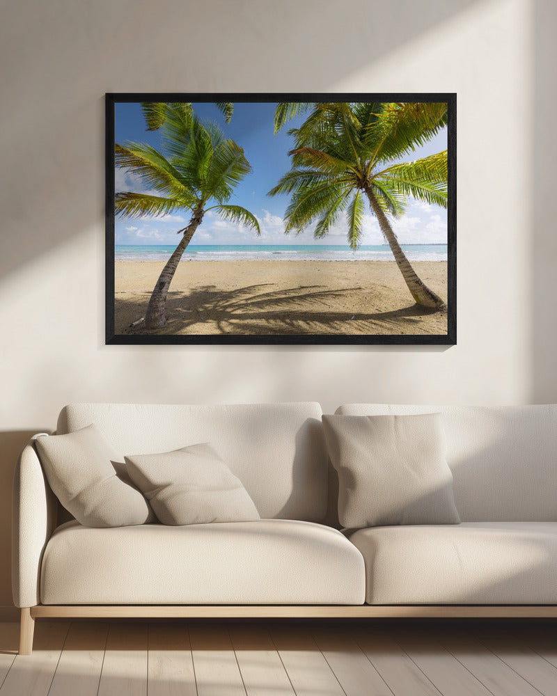 Palmy Beach | Leinwand