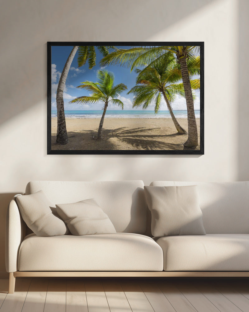 Palmy Beach II | Leinwand