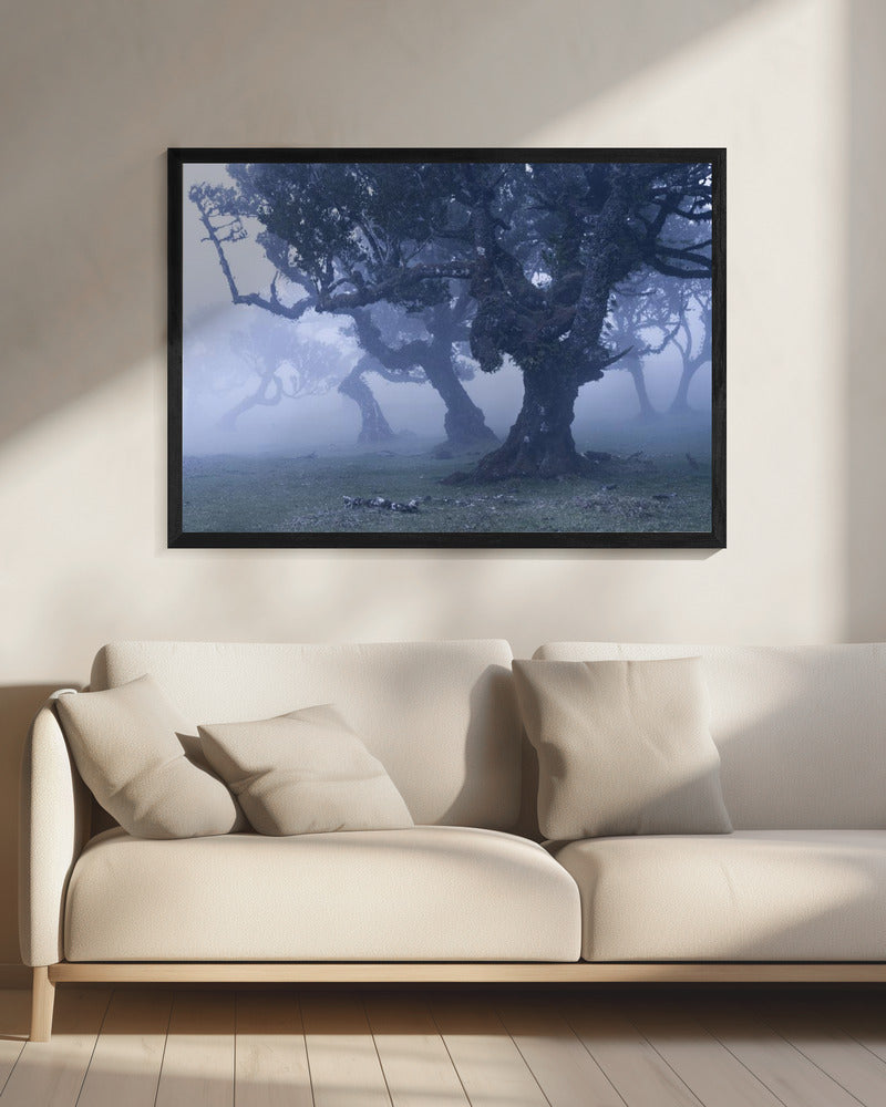 Blaue Wälder | Leinwand