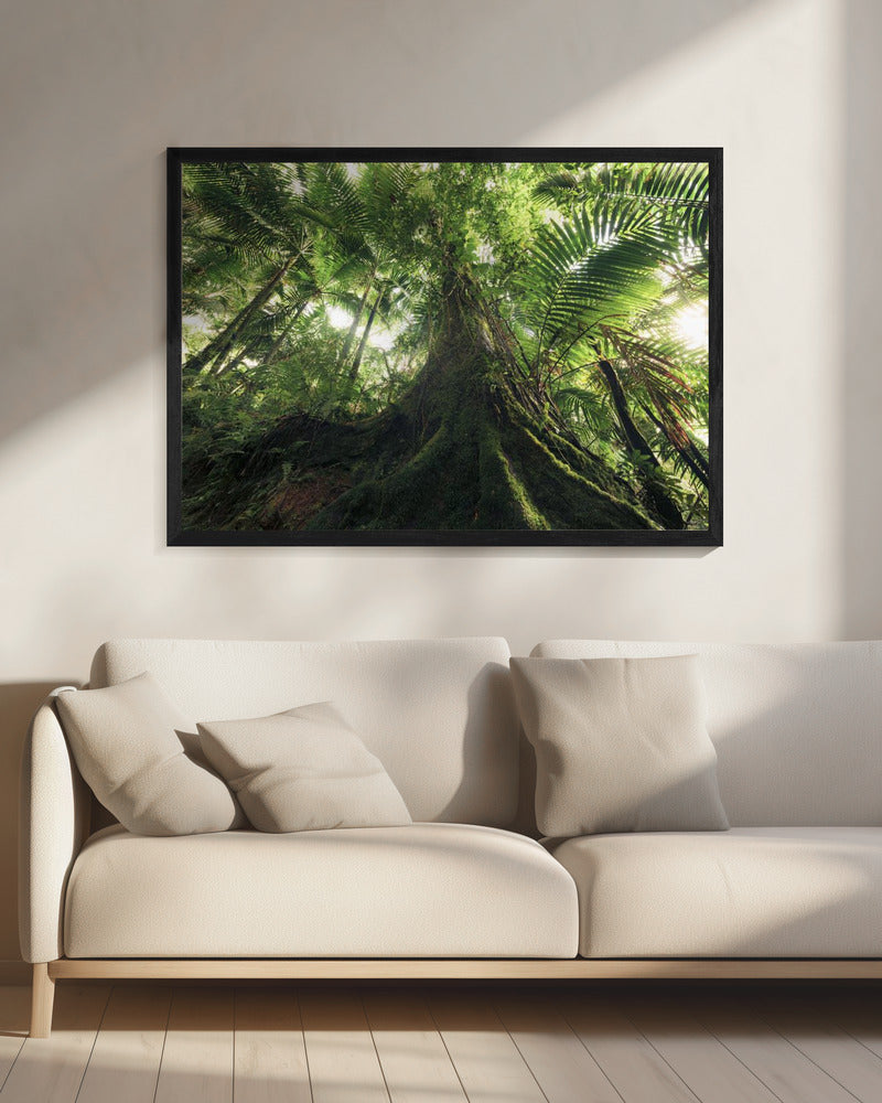 Spaziergang im Dschungel | Leinwand