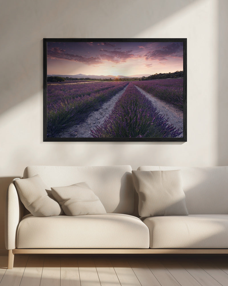 Lila Provence | Leinwand