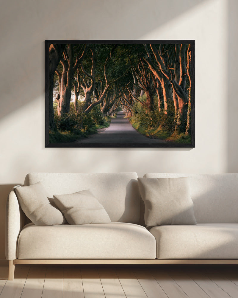 Red Avenue | Leinwand