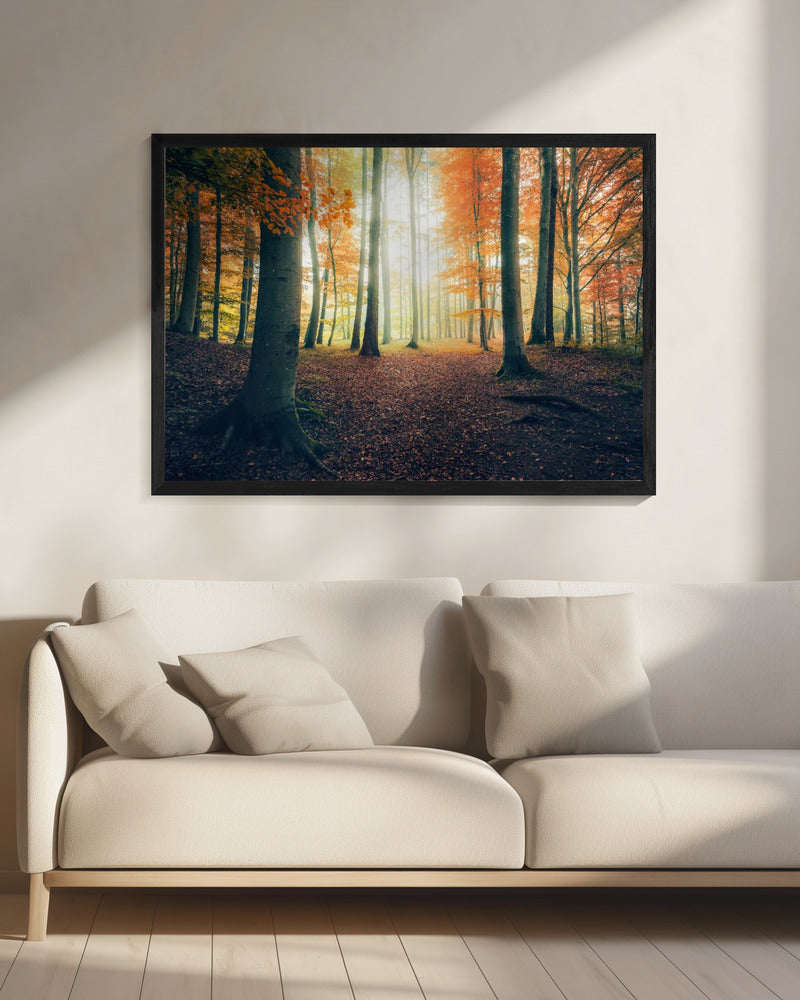Herbst im Wald | Leinwand