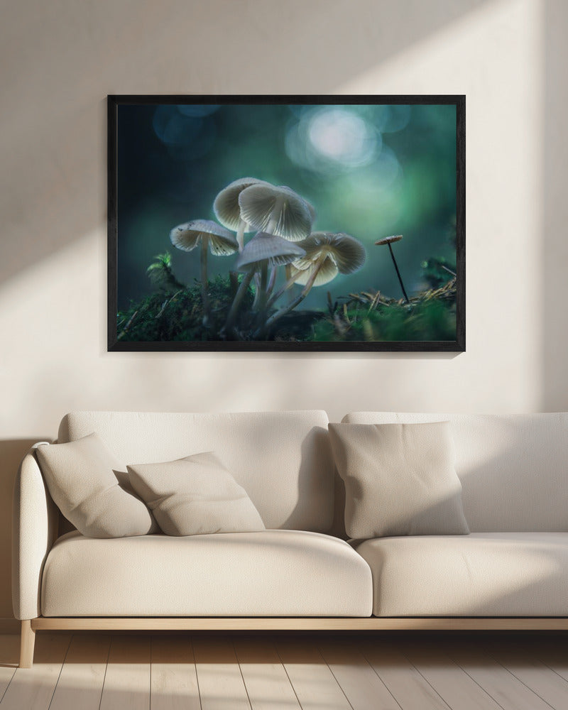 Waldträume | Leinwand